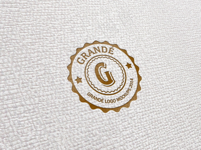 特殊背景logo样机展示psd模版下载