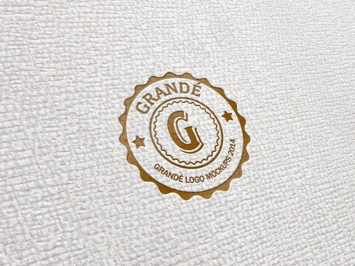 特殊背景logo样机展示psd模版下载
