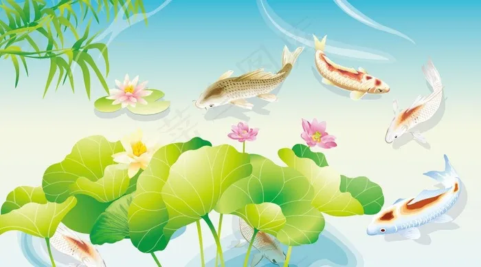 荷花鲤鱼图片ai矢量模版下载