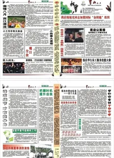 节能灯泡 荷花 荷叶 鱼图片