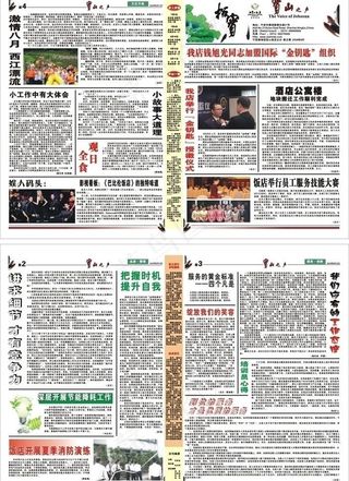 节能灯泡 荷花 荷叶 鱼图片