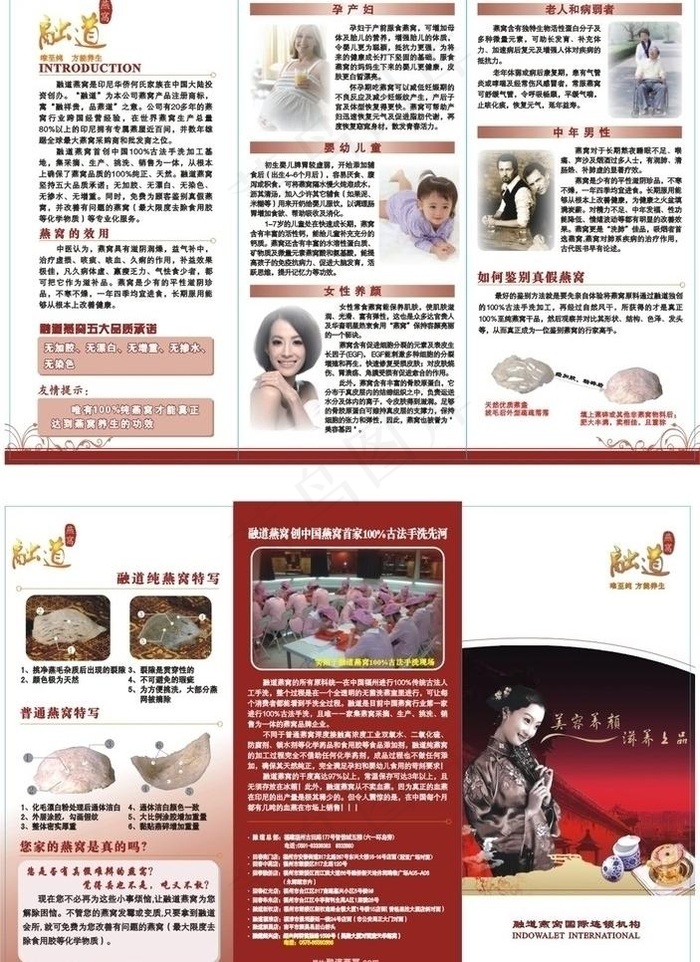燕窝三折页图片cdr矢量模版下载