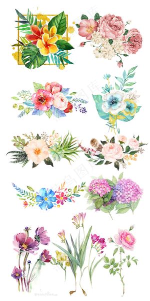 唯美手绘花蕊鲜花促销素材