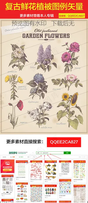 复古鲜花植被图矢量素材 复古鲜花植被图矢量素材