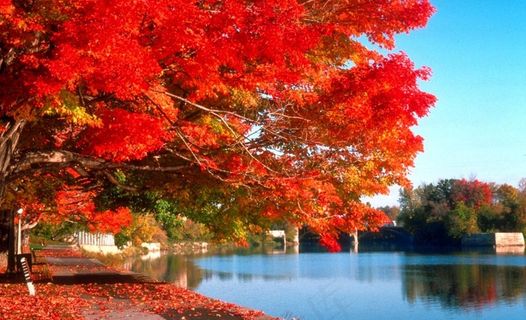 风景山水画图片