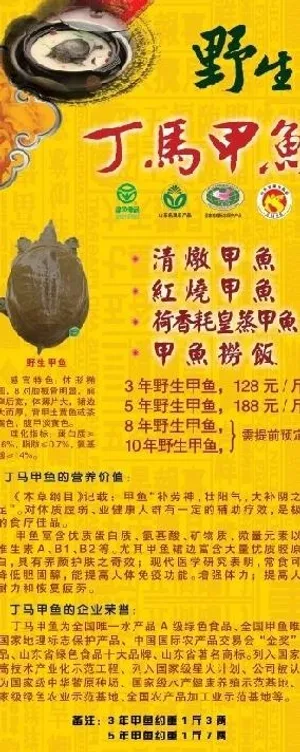 甲鱼易拉宝图片