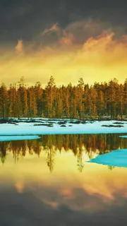 夕阳下的丛林与湖泊高清摄影图片