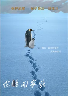 企鹅回家路