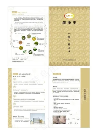 痘净王单张设计图片