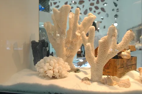 珠宝首饰橱窗图片