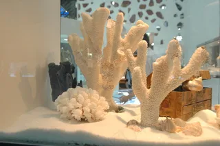 珠宝首饰橱窗图片