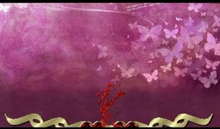 婚礼视频素材图片