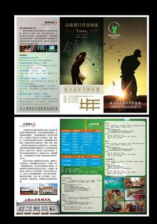高尔夫三折页图片