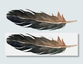 花纹边框鲜花插画北欧装饰画作花草P...