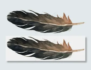 花纹边框鲜花插画北欧装饰画作花草P...