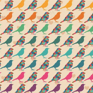 小鸟多彩彩色设计图片