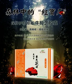 牛樟芝保健品海报 森林中红宝石牛樟...