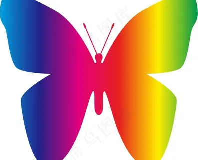 七彩蝴蝶图片