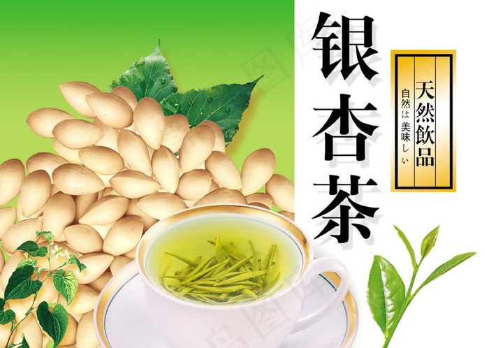 银杏茶图片