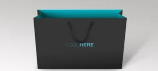 企业VI手提袋 下载