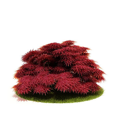 植物国外精品装饰素材免费下载室内装...