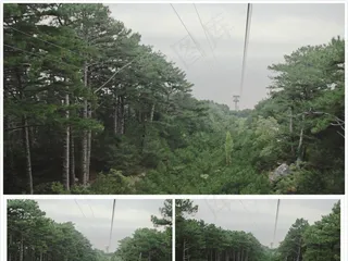 实拍高空缆车下的绿色风景