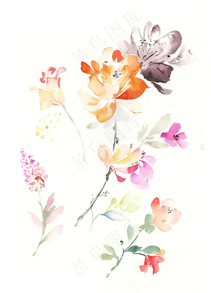 手绘花卉图片