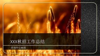 丰收稻穗汇报模板