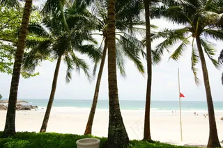 南国海滩风光图片