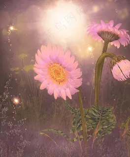 浪漫背景 杂草 花朵图片