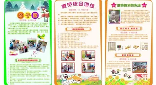 神州智慧星宣传单图片