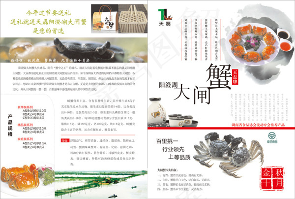 阳澄湖大闸蟹宣传页cdr矢量模版下载