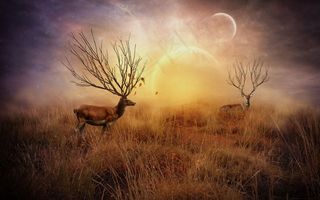 北欧怀旧麋鹿电视沙发背景墙壁画