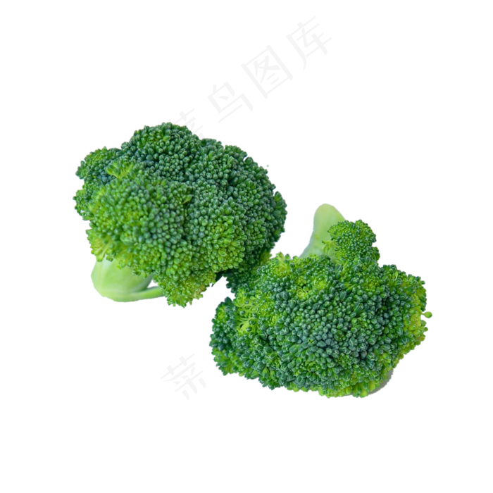 新鲜的西蓝花新鲜的西蓝花