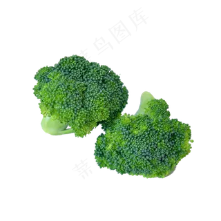 新鲜的西蓝花新鲜的西蓝花