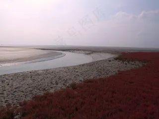 盘锦红海滩图片