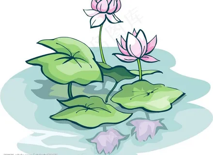 cdr矢量手绘荷花图片