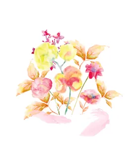 手绘水彩植物花卉