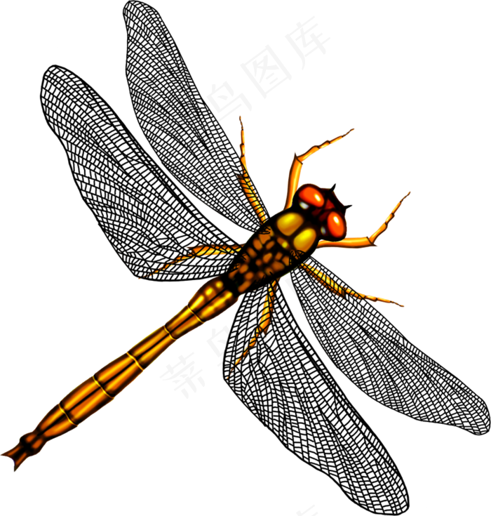 免抠png图片ps素材蜻蜓