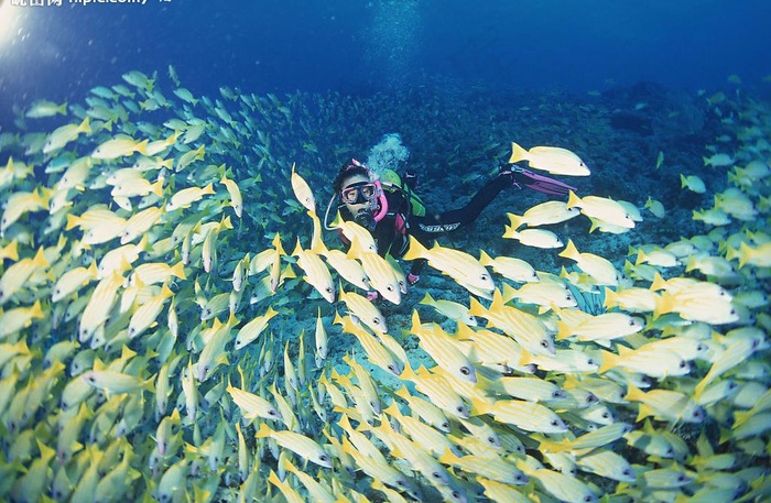 浅海潜水图片