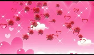 婚礼视频素材图片