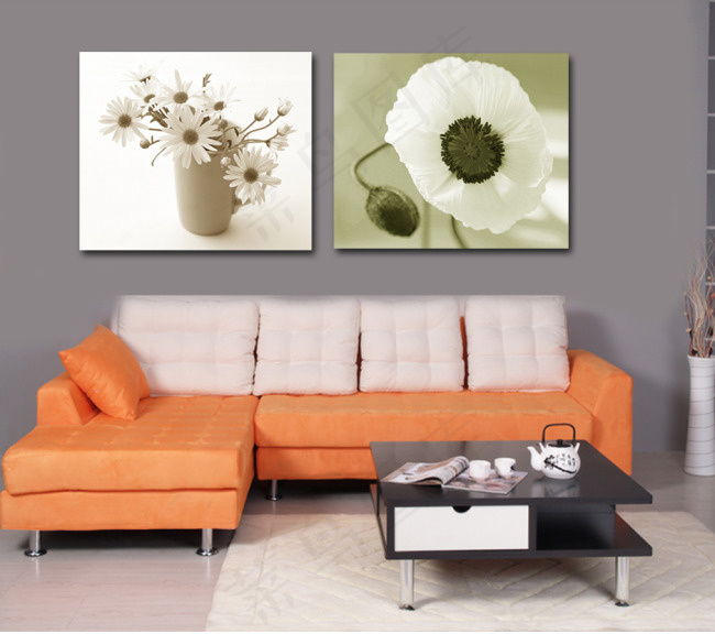 客厅花朵装饰画