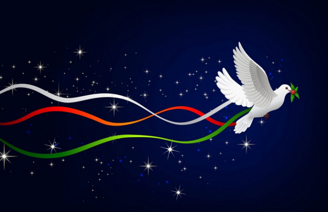 圣诞和平鸽下载