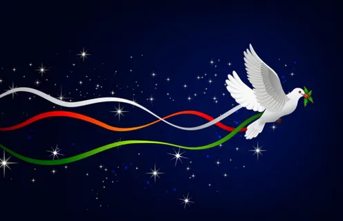 圣诞和平鸽下载