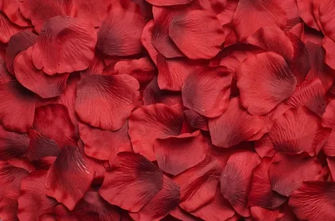 玫瑰花瓣素材图片 玫瑰花瓣素材图片
