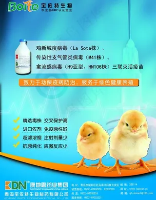 药品单页设计图片