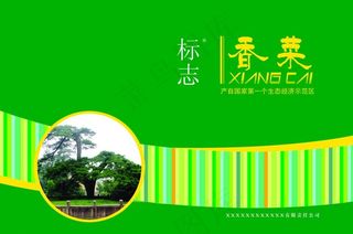 香菜包转设计图片