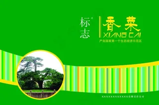 香菜包转设计图片