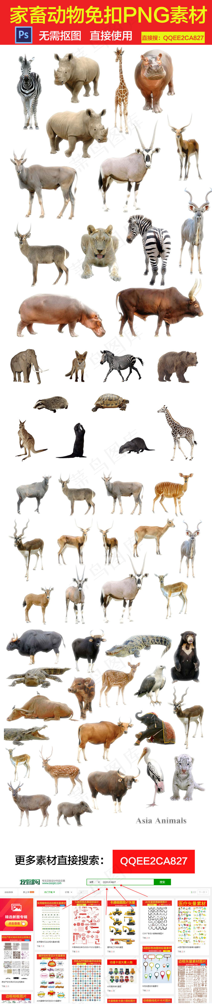 家畜动物免扣PNG素材集合