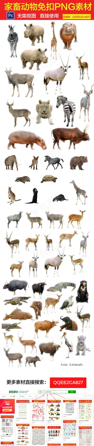 家畜动物免扣PNG素材集合